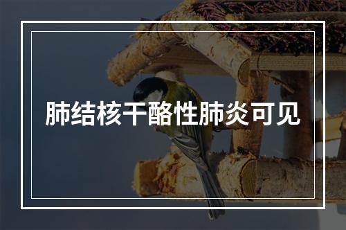 肺结核干酪性肺炎可见