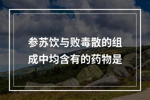 参苏饮与败毒散的组成中均含有的药物是