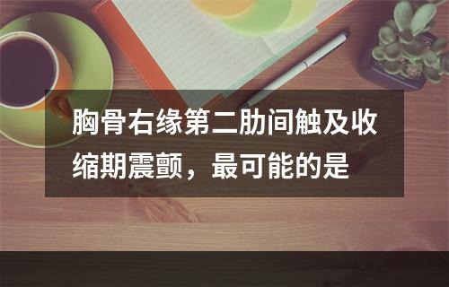 胸骨右缘第二肋间触及收缩期震颤，最可能的是