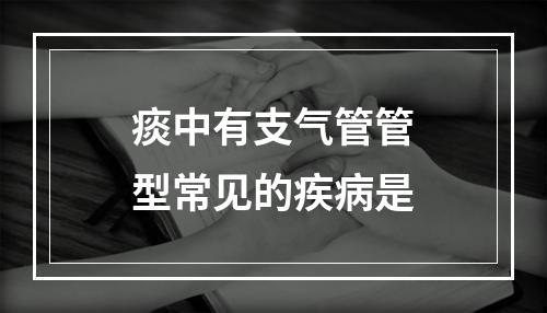 痰中有支气管管型常见的疾病是