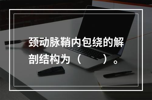 颈动脉鞘内包绕的解剖结构为（　　）。