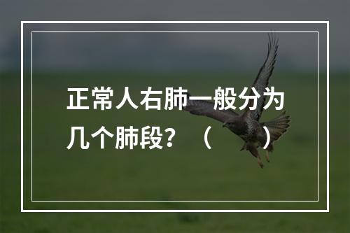 正常人右肺一般分为几个肺段？（　　）