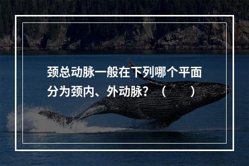 颈总动脉一般在下列哪个平面分为颈内、外动脉？（　　）