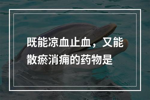 既能凉血止血，又能散瘀消痈的药物是