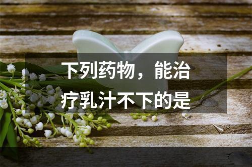 下列药物，能治疗乳汁不下的是