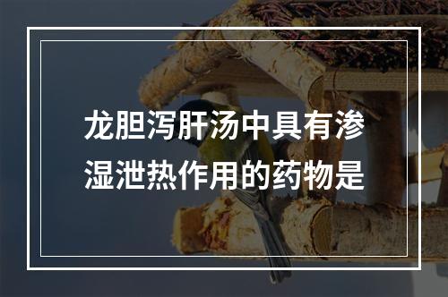 龙胆泻肝汤中具有渗湿泄热作用的药物是