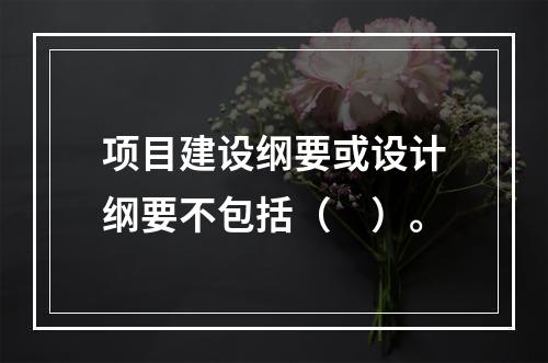 项目建设纲要或设计纲要不包括（　）。