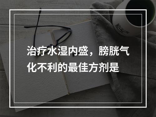 治疗水湿内盛，膀胱气化不利的最佳方剂是