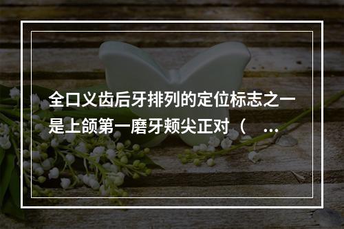 全口义齿后牙排列的定位标志之一是上颌第一磨牙颊尖正对（　　