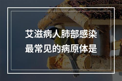 艾滋病人肺部感染最常见的病原体是