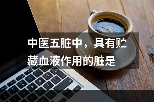 中医五脏中，具有贮藏血液作用的脏是