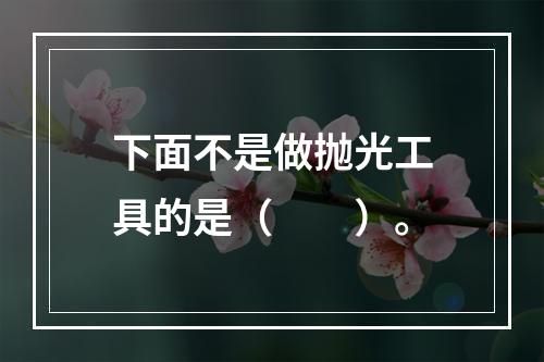 下面不是做抛光工具的是（　　）。