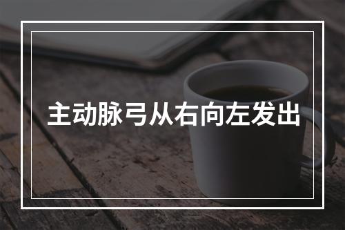 主动脉弓从右向左发出