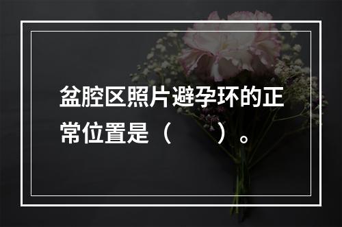 盆腔区照片避孕环的正常位置是（　　）。