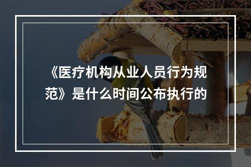 《医疗机构从业人员行为规范》是什么时间公布执行的