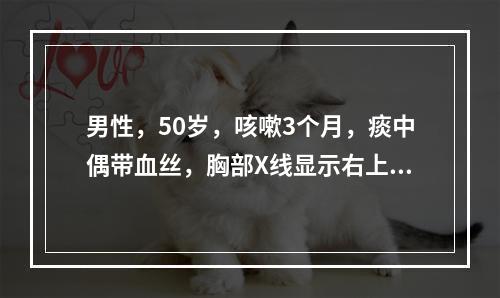 男性，50岁，咳嗽3个月，痰中偶带血丝，胸部X线显示右上肺叶