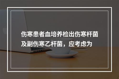 伤寒患者血培养检出伤寒杆菌及副伤寒乙杆菌，应考虑为