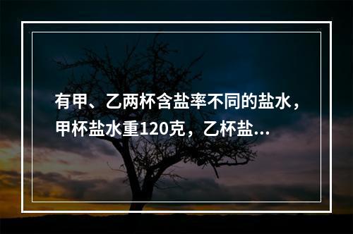 有甲、乙两杯含盐率不同的盐水，甲杯盐水重120克，乙杯盐水重