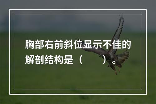 胸部右前斜位显示不佳的解剖结构是（　　）。