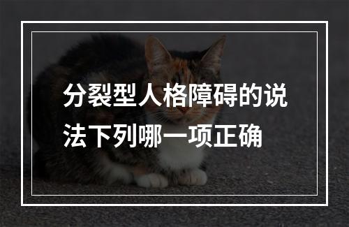 分裂型人格障碍的说法下列哪一项正确