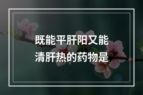 既能平肝阳又能清肝热的药物是