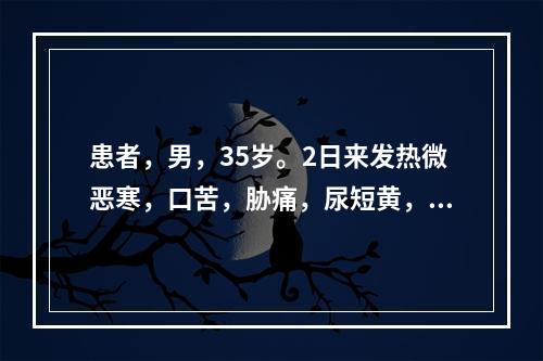 患者，男，35岁。2日来发热微恶寒，口苦，胁痛，尿短黄，大便