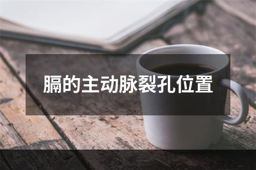 膈的主动脉裂孔位置