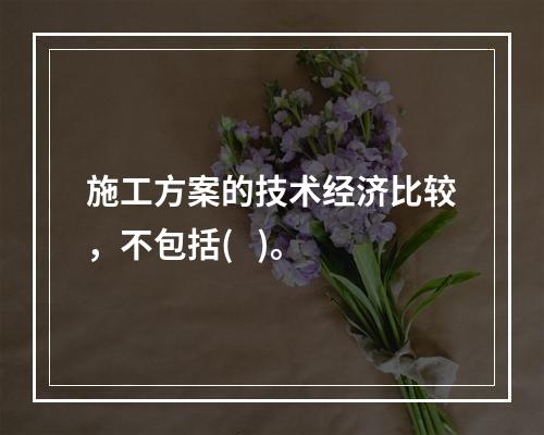 施工方案的技术经济比较，不包括(   )。