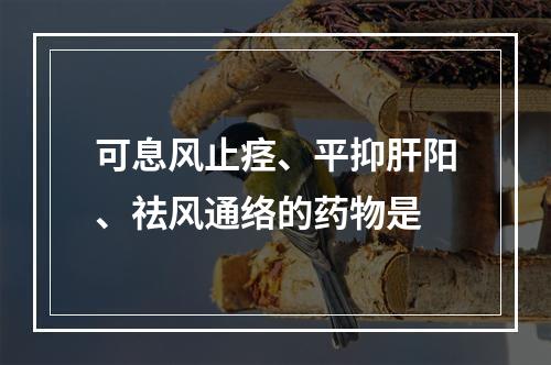 可息风止痉、平抑肝阳、祛风通络的药物是