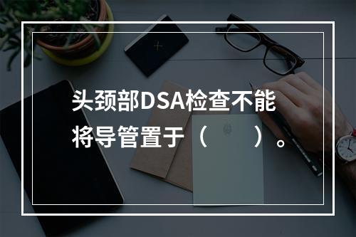 头颈部DSA检查不能将导管置于（　　）。