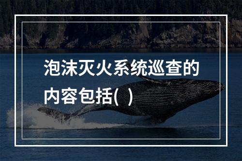 泡沫灭火系统巡查的内容包括(  )