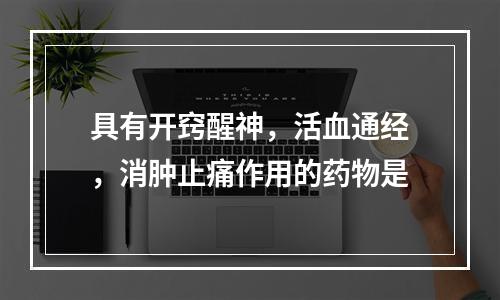 具有开窍醒神，活血通经，消肿止痛作用的药物是