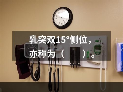 乳突双15°侧位，亦称为（　　）。