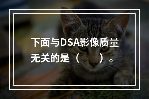 下面与DSA影像质量无关的是（　　）。