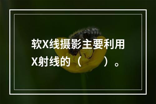 软X线摄影主要利用X射线的（　　）。