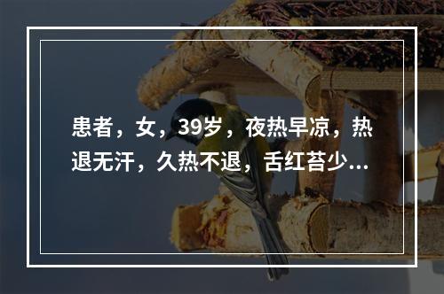 患者，女，39岁，夜热早凉，热退无汗，久热不退，舌红苔少，脉