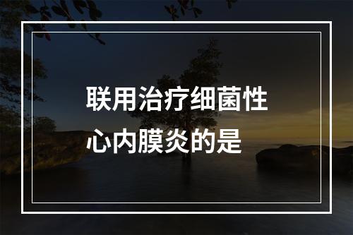 联用治疗细菌性心内膜炎的是