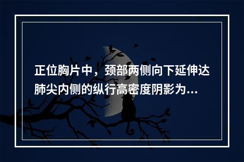 正位胸片中，颈部两侧向下延伸达肺尖内侧的纵行高密度阴影为（