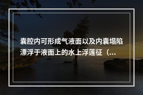 囊腔内可形成气液面以及内囊塌陷漂浮于液面上的水上浮莲征（　　