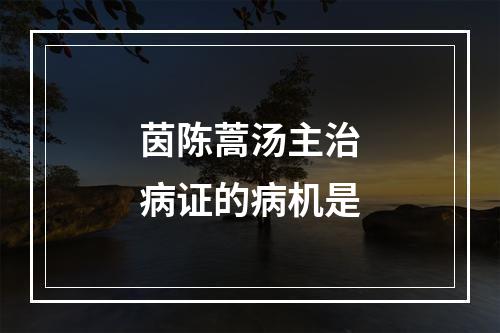 茵陈蒿汤主治病证的病机是