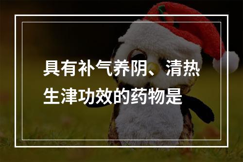 具有补气养阴、清热生津功效的药物是