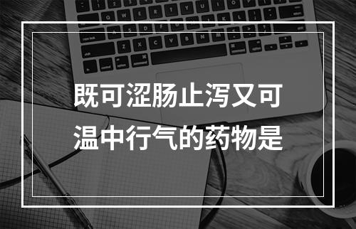 既可涩肠止泻又可温中行气的药物是