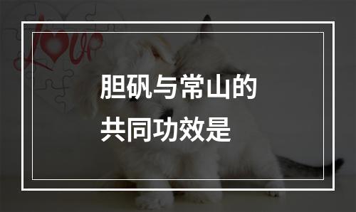 胆矾与常山的共同功效是