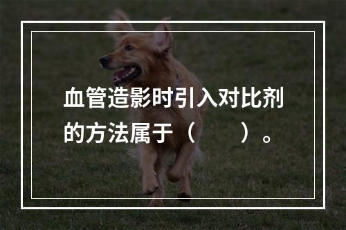 血管造影时引入对比剂的方法属于（　　）。