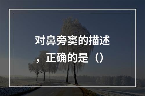 对鼻旁窦的描述，正确的是（）