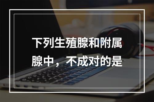 下列生殖腺和附属腺中，不成对的是