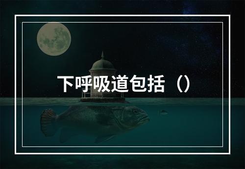 下呼吸道包括（）