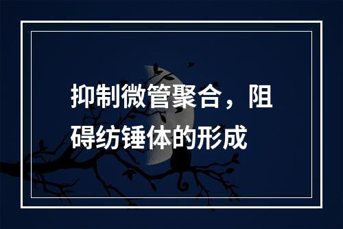 抑制微管聚合，阻碍纺锤体的形成