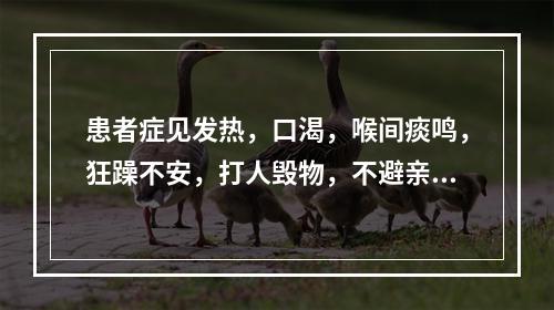 患者症见发热，口渴，喉间痰鸣，狂躁不安，打人毁物，不避亲疏，