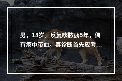 男，18岁。反复咳脓痰5年，偶有痰中带血。其诊断首先应考虑下